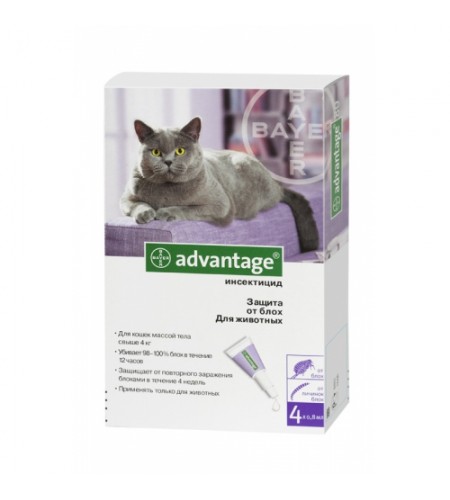 ADVANTAGE 80 GATO (>4KG, 4 PIPETAS)
